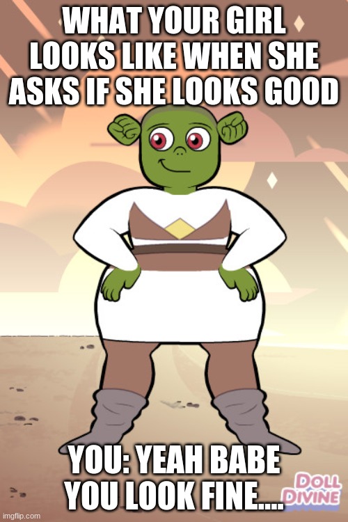 shrek girl | WHAT YOUR GIRL LOOKS LIKE WHEN SHE ASKS IF SHE LOOKS GOOD; YOU: YEAH BABE YOU LOOK FINE.... | image tagged in shrek | made w/ Imgflip meme maker