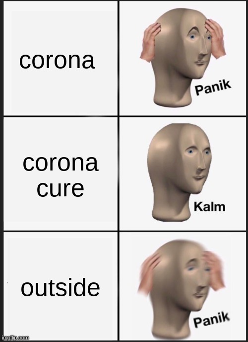 Panik Kalm Panik | corona; corona cure; outside | image tagged in memes,panik kalm panik | made w/ Imgflip meme maker