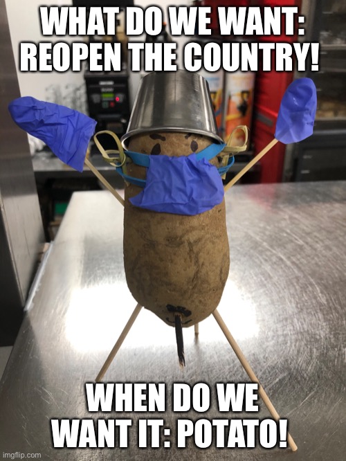 Potato revolutionary | WHAT DO WE WANT: REOPEN THE COUNTRY! WHEN DO WE WANT IT: POTATO! | image tagged in potato,mr potato head,potato chips | made w/ Imgflip meme maker