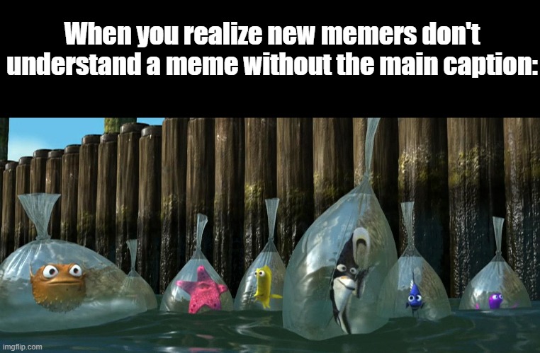 Oh the irony | When you realize new memers don't understand a meme without the main caption: | image tagged in now what - finding nemo | made w/ Imgflip meme maker