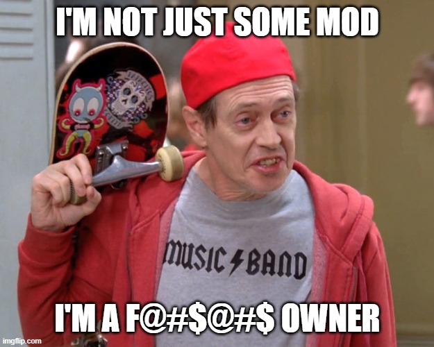 Steve Buscemi Fellow Kids | I'M NOT JUST SOME MOD; I'M A F@#$@#$ OWNER | image tagged in steve buscemi fellow kids | made w/ Imgflip meme maker