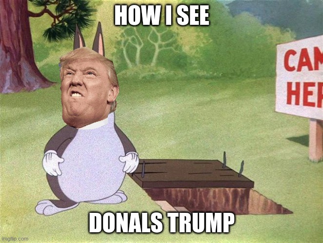 Big Chungus | HOW I SEE; DONALS TRUMP | image tagged in big chungus | made w/ Imgflip meme maker