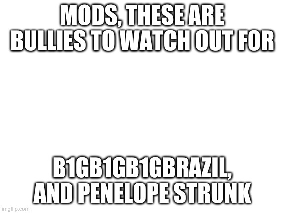 Blank White Template | MODS, THESE ARE BULLIES TO WATCH OUT FOR; B1GB1GB1GBRAZIL, AND PENELOPE STRUNK | image tagged in blank white template | made w/ Imgflip meme maker