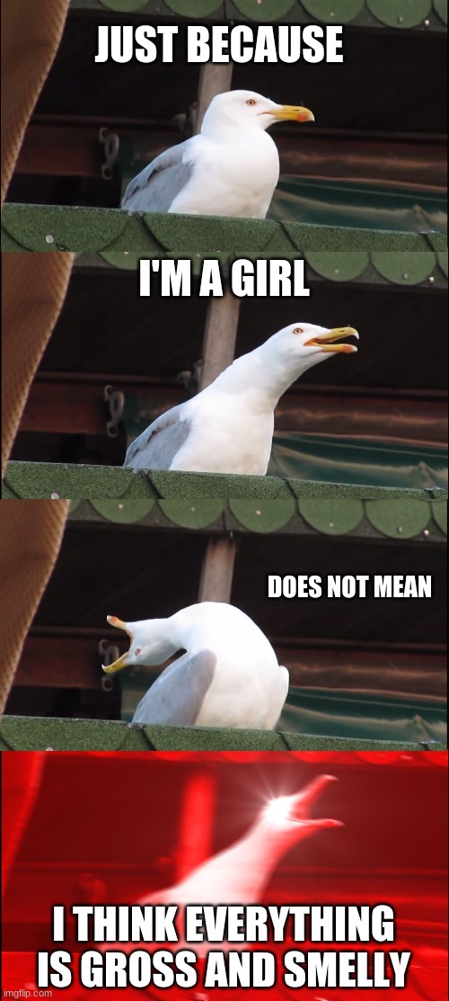 I'm Ain't Your Stereotypical Girl | JUST BECAUSE; I'M A GIRL; DOES NOT MEAN; I THINK EVERYTHING IS GROSS AND SMELLY | image tagged in memes,inhaling seagull | made w/ Imgflip meme maker