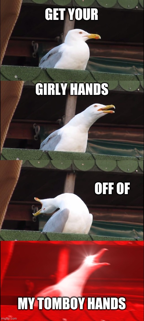 I be a Tomboy | GET YOUR; GIRLY HANDS; OFF OF; MY TOMBOY HANDS | image tagged in memes,inhaling seagull | made w/ Imgflip meme maker