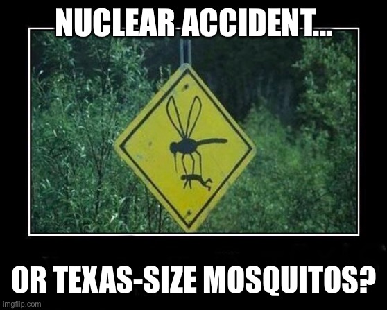 Modern Vampires of the South | NUCLEAR ACCIDENT... OR TEXAS-SIZE MOSQUITOS? | image tagged in mosquito,spring,texas | made w/ Imgflip meme maker