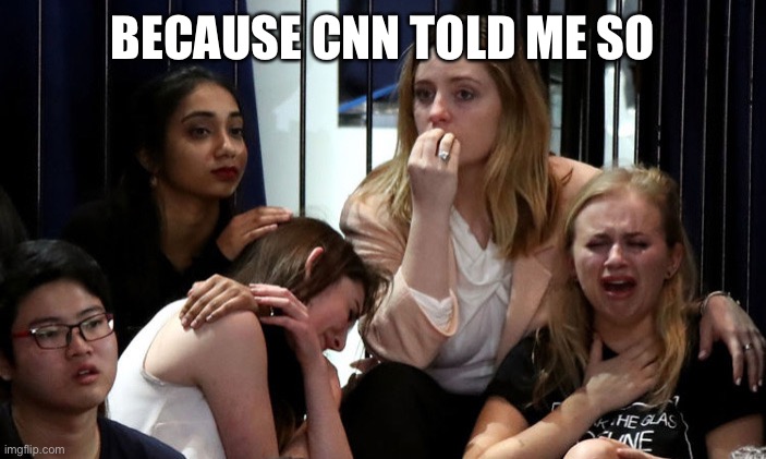 Stupid Libtards | BECAUSE CNN TOLD ME SO | image tagged in stupid libtards | made w/ Imgflip meme maker