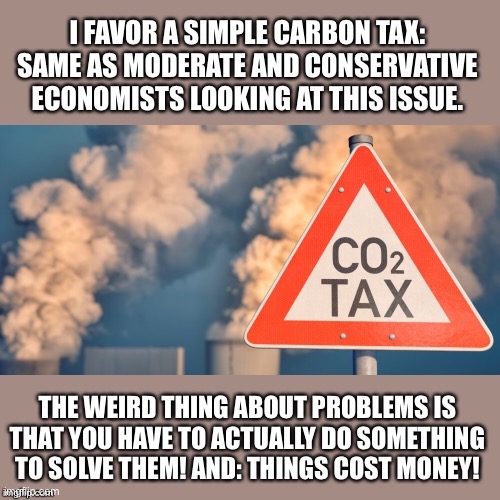 Carbon taxes provide businesses and consumers with a direct financial incentive to limit emissions. | image tagged in taxes,tax,environmental,carbon footprint,global warming,climate change | made w/ Imgflip meme maker