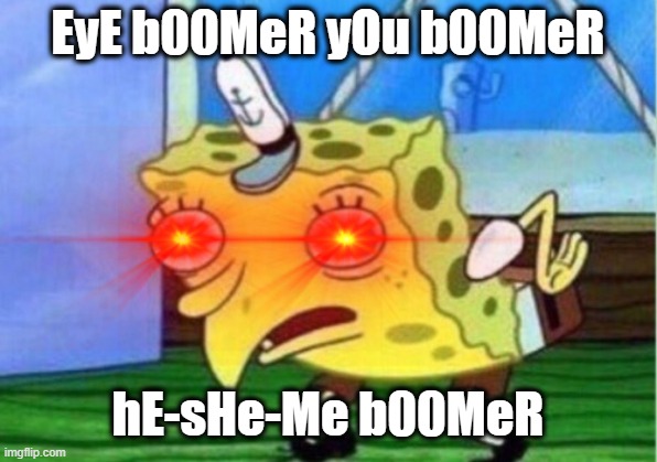 When someone thinks everyone is a boomer | EyE b00MeR yOu b00MeR; hE-sHe-Me b00MeR | image tagged in generation z,ok boomer,shitpost | made w/ Imgflip meme maker