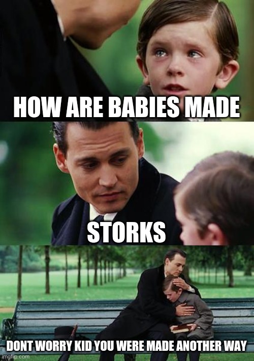 Finding Neverland | HOW ARE BABIES MADE; STORKS; DONT WORRY KID YOU WERE MADE ANOTHER WAY | image tagged in memes,finding neverland | made w/ Imgflip meme maker