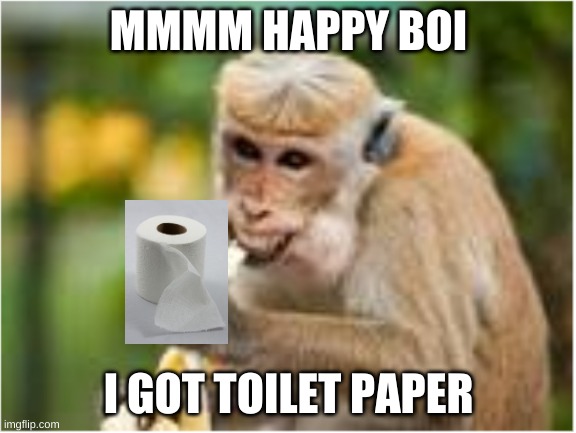 happy monkey | MMMM HAPPY BOI; I GOT TOILET PAPER | image tagged in happy monkey | made w/ Imgflip meme maker