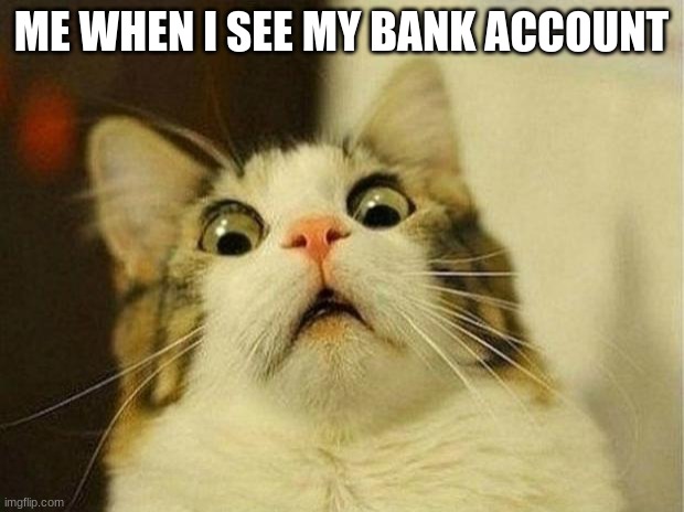 Scared Cat | ME WHEN I SEE MY BANK ACCOUNT | image tagged in memes,scared cat | made w/ Imgflip meme maker