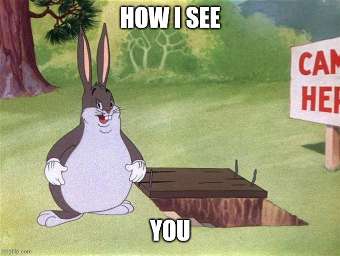 Big Chungus | HOW I SEE YOU | image tagged in big chungus | made w/ Imgflip meme maker