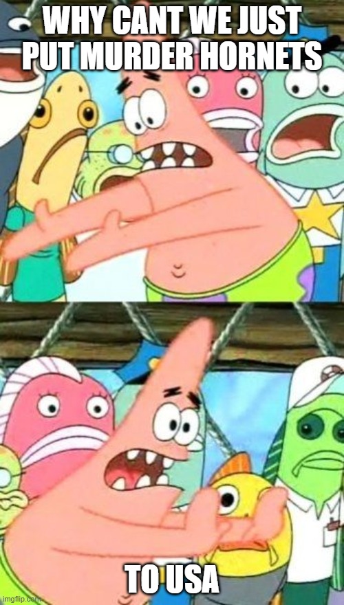 do it | WHY CANT WE JUST PUT MURDER HORNETS; TO USA | image tagged in memes,put it somewhere else patrick | made w/ Imgflip meme maker