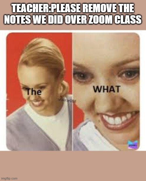 The WHAT | TEACHER:PLEASE REMOVE THE NOTES WE DID OVER ZOOM CLASS | image tagged in the what | made w/ Imgflip meme maker