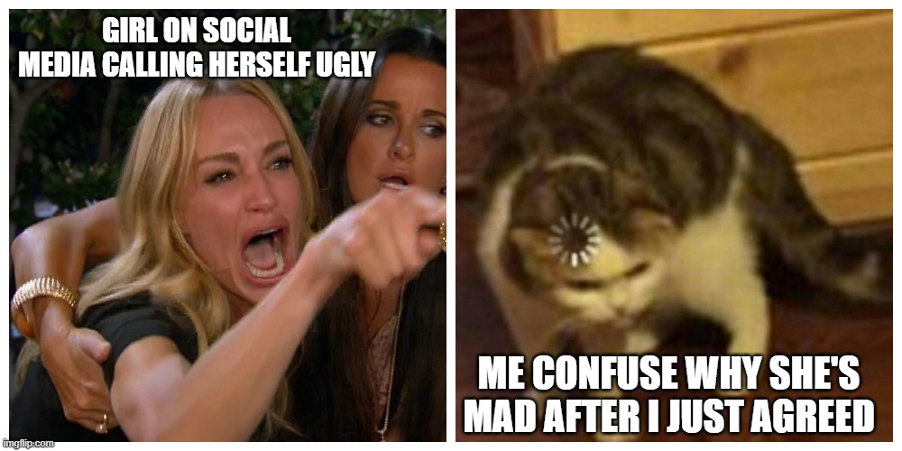 Girl got no chill! | GIRL ON SOCIAL MEDIA CALLING HERSELF UGLY; ME CONFUSE WHY SHE'S MAD AFTER I JUST AGREED | image tagged in two women yelling at a cat,confused cat,social media | made w/ Imgflip meme maker