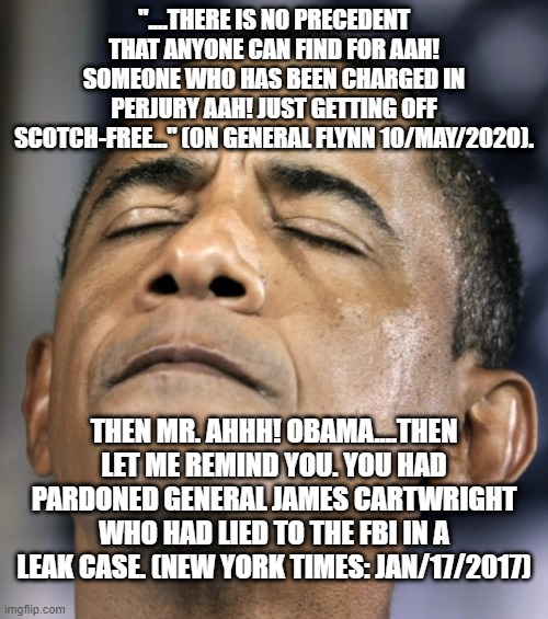 politics | "....THERE IS NO PRECEDENT THAT ANYONE CAN FIND FOR AAH! SOMEONE WHO HAS BEEN CHARGED IN PERJURY AAH! JUST GETTING OFF SCOTCH-FREE..." (ON GENERAL FLYNN 10/MAY/2020). THEN MR. AHHH! OBAMA....THEN LET ME REMIND YOU. YOU HAD PARDONED GENERAL JAMES CARTWRIGHT WHO HAD LIED TO THE FBI IN A LEAK CASE. (NEW YORK TIMES: JAN/17/2017) | image tagged in obama-distraught-goddammit-doh-fail,political meme | made w/ Imgflip meme maker