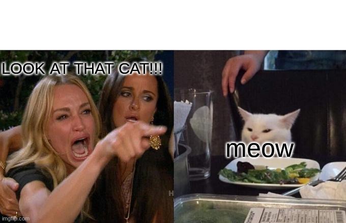 cat | LOOK AT THAT CAT!!! meow | image tagged in memes,woman yelling at cat | made w/ Imgflip meme maker