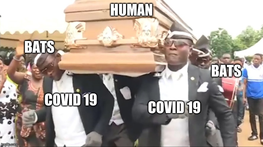 HUMAN; BATS; BATS; COVID 19; COVID 19 | made w/ Imgflip meme maker