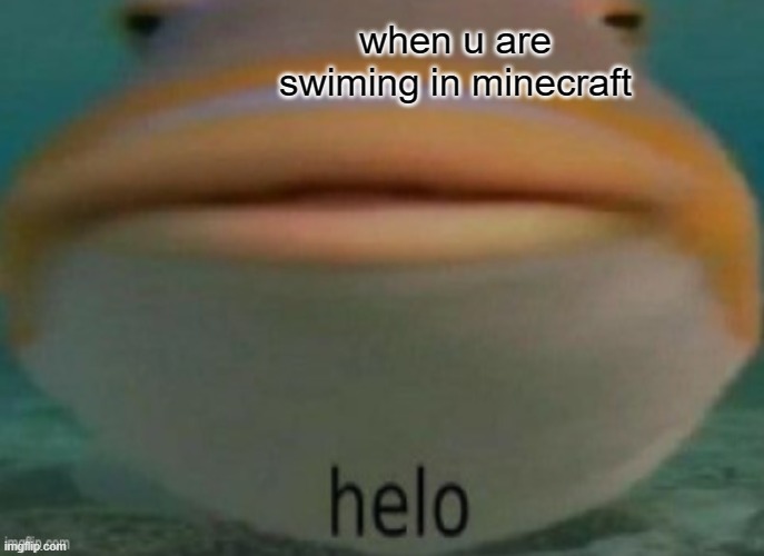 minecraft fish be like | when u are swiming in minecraft | image tagged in minecraft fish | made w/ Imgflip meme maker