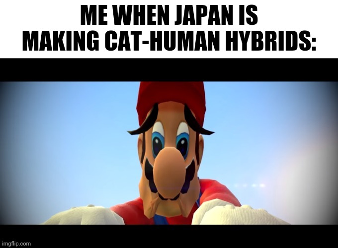 Why Japan | ME WHEN JAPAN IS MAKING CAT-HUMAN HYBRIDS: | image tagged in sad mario,japan,cat-human hybrids,smg4,sad,mario | made w/ Imgflip meme maker