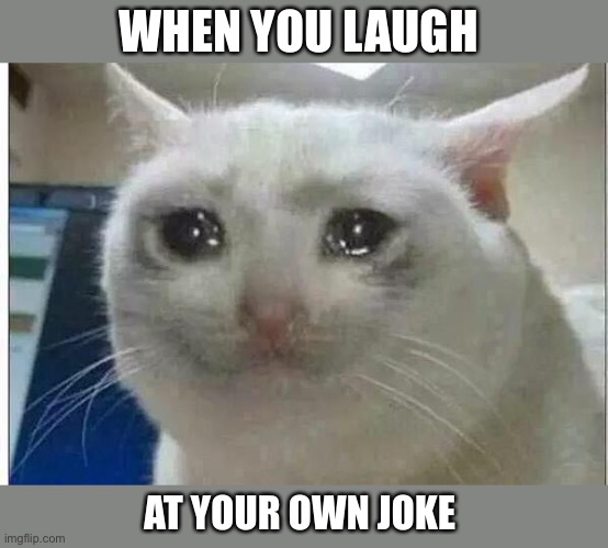crying cat | WHEN YOU LAUGH; AT YOUR OWN JOKE | image tagged in crying cat | made w/ Imgflip meme maker