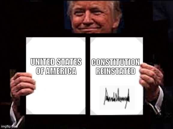 The USA Consitution reinstated | CONSTITUTION REINSTATED; UNITED STATES OF AMERICA | image tagged in the usa consititution,trump,scotus,original constitution,maga | made w/ Imgflip meme maker