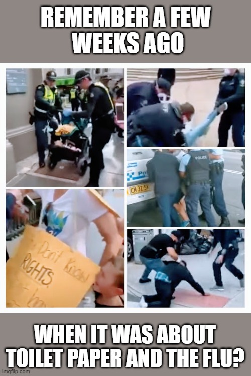 Good Old Days | REMEMBER A FEW 
WEEKS AGO; WHEN IT WAS ABOUT TOILET PAPER AND THE FLU? | image tagged in covid-19,police,police brutality,police state | made w/ Imgflip meme maker