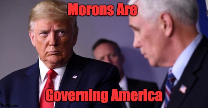 MAGA Morons Are Governing America | image tagged in donald trump the clown | made w/ Imgflip meme maker