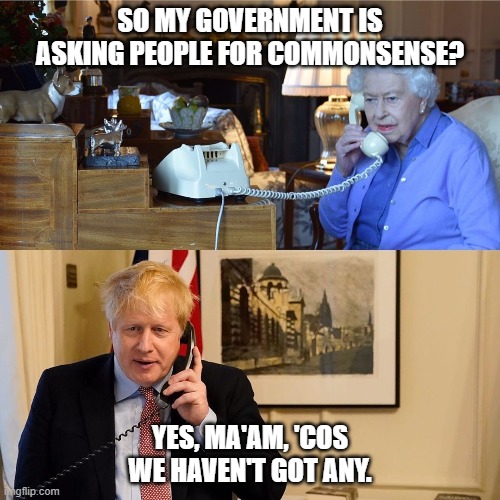 commonsense | SO MY GOVERNMENT IS ASKING PEOPLE FOR COMMONSENSE? YES, MA'AM, 'COS WE HAVEN'T GOT ANY. | image tagged in queen and boris | made w/ Imgflip meme maker