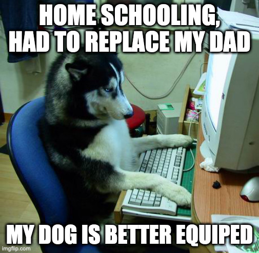 Home schooling | HOME SCHOOLING, HAD TO REPLACE MY DAD; MY DOG IS BETTER EQUIPED | image tagged in memes,i have no idea what i am doing | made w/ Imgflip meme maker