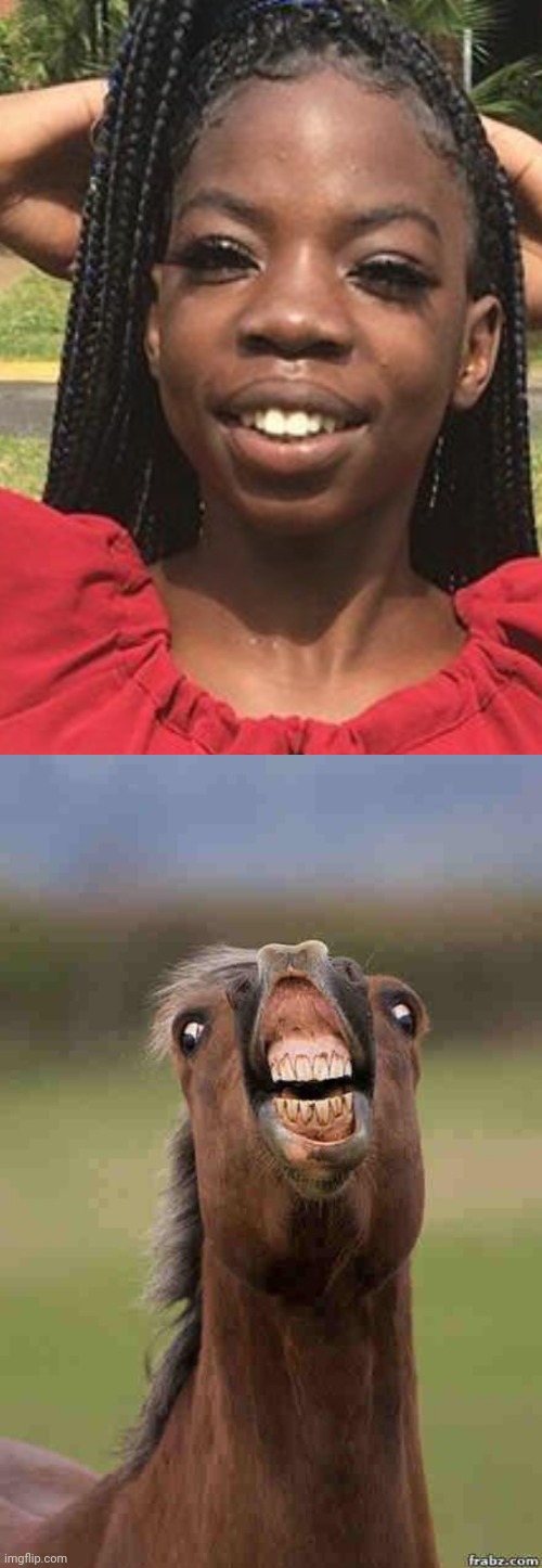 Twins | image tagged in horse face | made w/ Imgflip meme maker