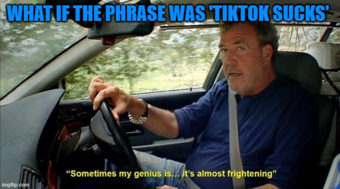 sometimes my genius is... it's almost frightening | WHAT IF THE PHRASE WAS 'TIKTOK SUCKS' | image tagged in sometimes my genius is it's almost frightening | made w/ Imgflip meme maker