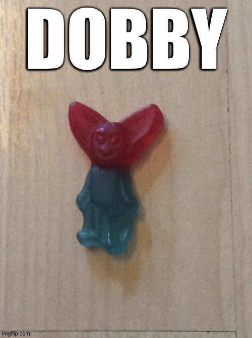 LOL this a gummy bear... | DOBBY | image tagged in dobby,harry potter | made w/ Imgflip meme maker