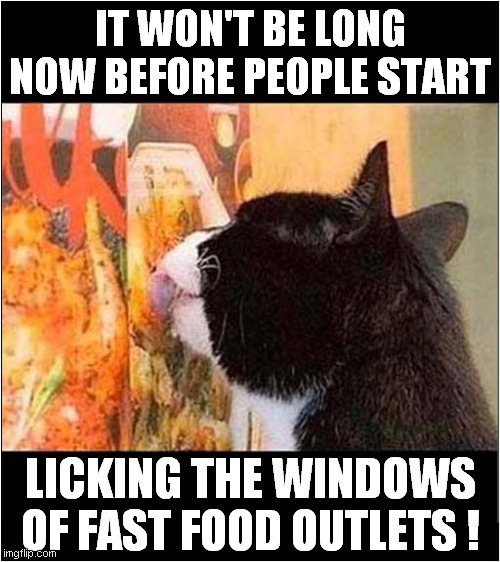 Desperate Times Call For Desperate Actions | IT WON'T BE LONG NOW BEFORE PEOPLE START; LICKING THE WINDOWS OF FAST FOOD OUTLETS ! | image tagged in fun,fast food,self isolation,cats | made w/ Imgflip meme maker