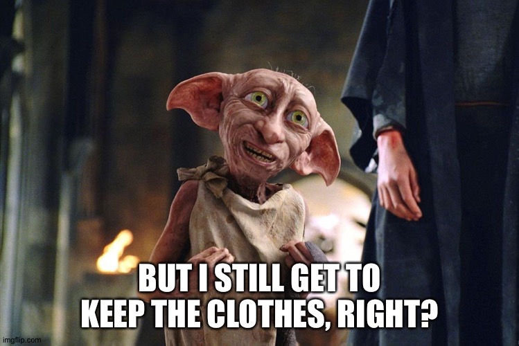 Dobby is free | BUT I STILL GET TO KEEP THE CLOTHES, RIGHT? | image tagged in dobby is free | made w/ Imgflip meme maker