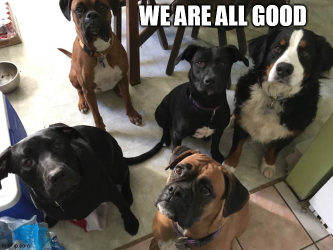 WE ARE ALL GOOD | made w/ Imgflip meme maker