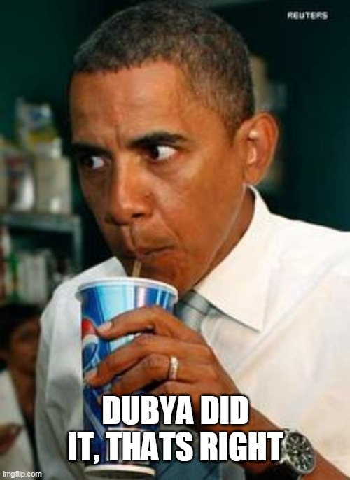 obama worried | DUBYA DID IT, THATS RIGHT | image tagged in obama worried | made w/ Imgflip meme maker