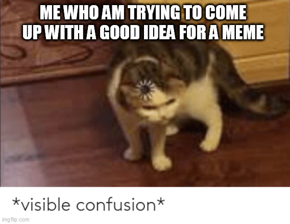 Based on a true story | ME WHO AM TRYING TO COME UP WITH A GOOD IDEA FOR A MEME | image tagged in visible confusion | made w/ Imgflip meme maker