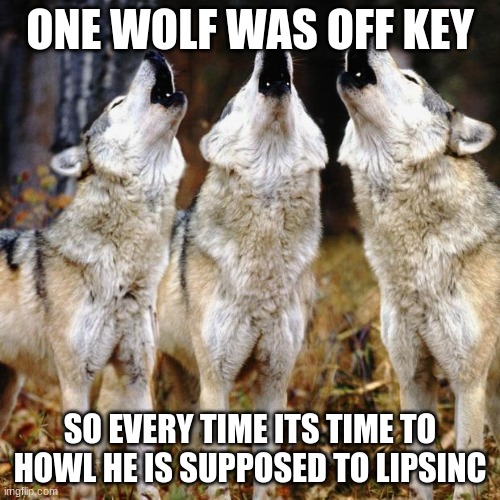 Wolf chorus | ONE WOLF WAS OFF KEY; SO EVERY TIME ITS TIME TO HOWL HE IS SUPPOSED TO LIPSINC | image tagged in wolf chorus | made w/ Imgflip meme maker