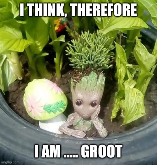 Thinking | I THINK, THEREFORE; I AM ..... GROOT | image tagged in baby groot | made w/ Imgflip meme maker