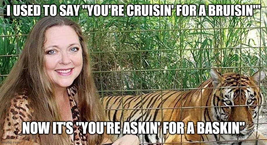 Asking for a baskin | I USED TO SAY "YOU'RE CRUISIN' FOR A BRUISIN'"; NOW IT'S "YOU'RE ASKIN' FOR A BASKIN" | image tagged in carole baskin | made w/ Imgflip meme maker