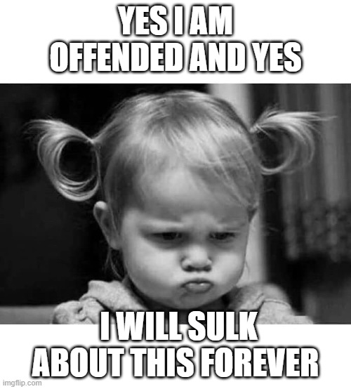 offended girl | YES I AM OFFENDED AND YES; I WILL SULK ABOUT THIS FOREVER | image tagged in offended girl | made w/ Imgflip meme maker