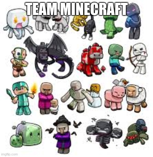 TEAM MINECRAFT | image tagged in minecraft | made w/ Imgflip meme maker