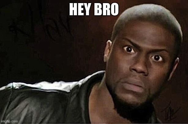 Kevin Hart Meme | HEY BRO | image tagged in memes,kevin hart | made w/ Imgflip meme maker