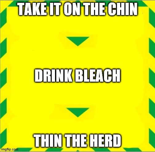 Stay Alert > Control the Virus > Save Lives | TAKE IT ON THE CHIN; DRINK BLEACH; THIN THE HERD | image tagged in stay alert  control the virus  save lives | made w/ Imgflip meme maker