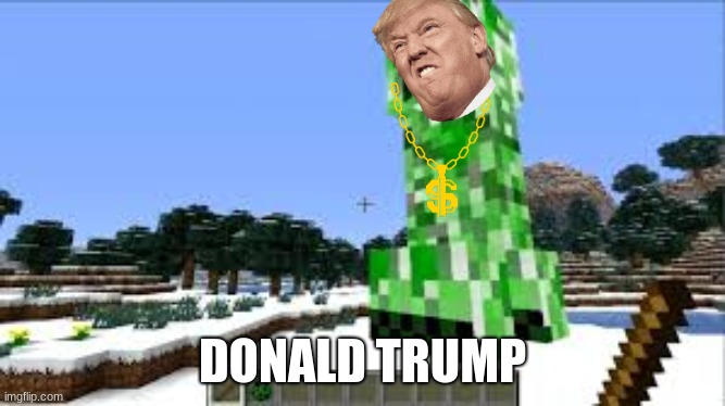 DONALD TRUMP | image tagged in donald trump,minecraft | made w/ Imgflip meme maker