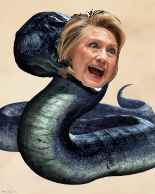 Hillary is a basilisk. Anyone who tries to look at her gets suicided | image tagged in basilisk,memes,hillary clinton,suicide,snake,bad joke | made w/ Imgflip meme maker