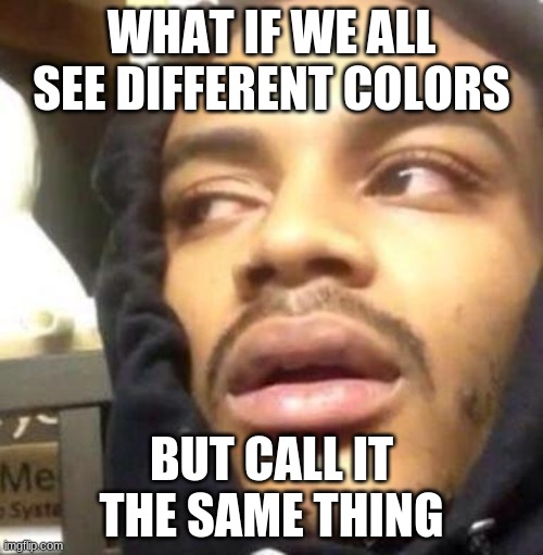 Hits Blunt | WHAT IF WE ALL SEE DIFFERENT COLORS; BUT CALL IT THE SAME THING | image tagged in hits blunt | made w/ Imgflip meme maker