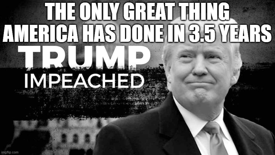 America Great | THE ONLY GREAT THING AMERICA HAS DONE IN 3.5 YEARS | image tagged in trump,impeached,make america great again,accomplishment,worst leader,remove | made w/ Imgflip meme maker